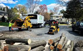 Best Lawn Irrigation Installation and Maintenance  in Robertsville, NJ