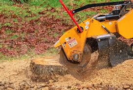 Best Lawn Dethatching  in Robertsville, NJ