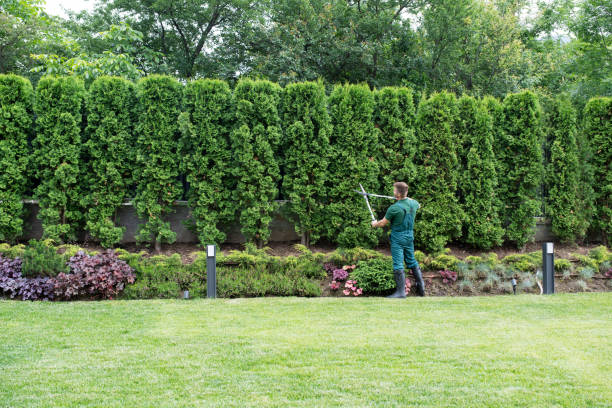 Best Lawn Grading and Leveling  in Robertsville, NJ