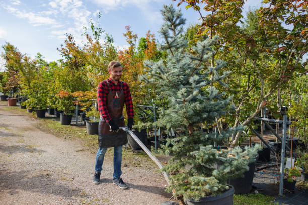 Best Tree and Shrub Care  in Robertsville, NJ