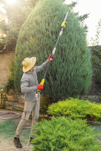Best Soil Testing and Treatment  in Robertsville, NJ